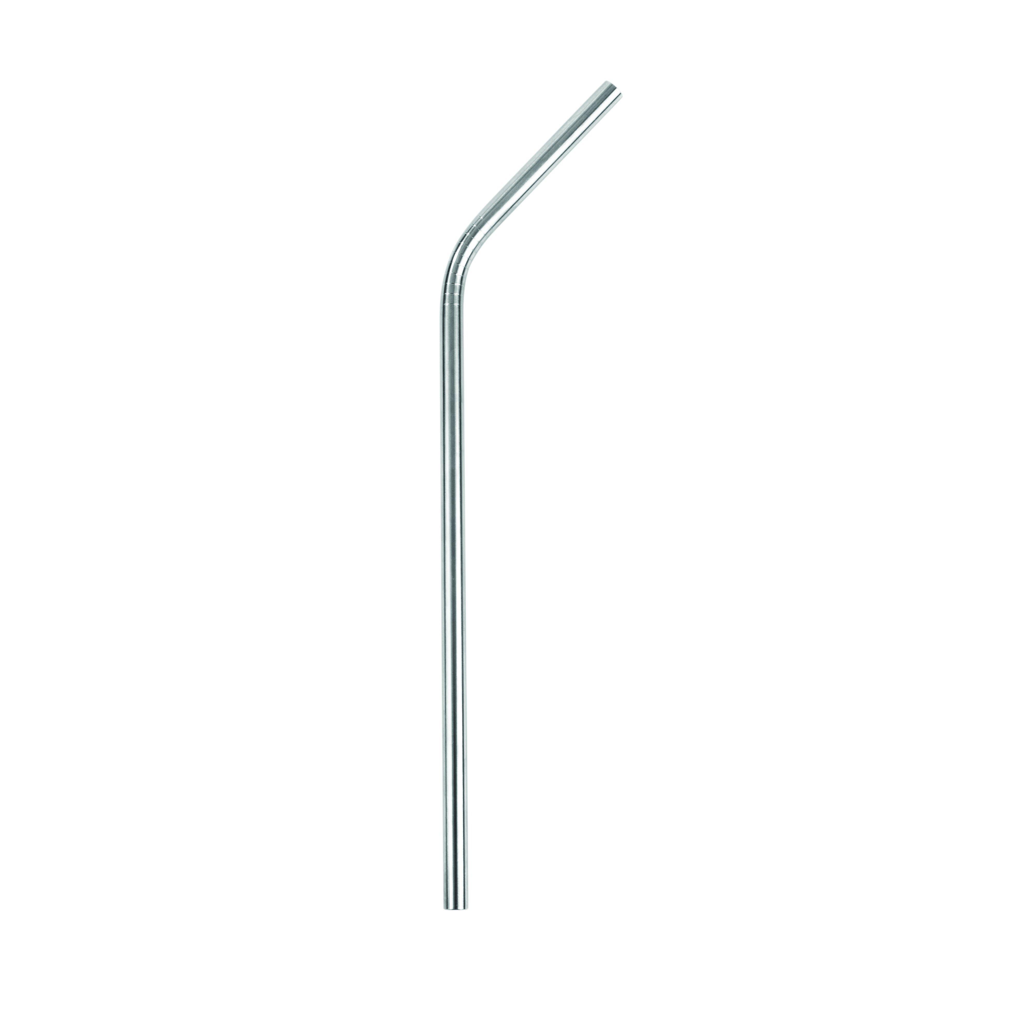 True - Sippy Stainless Steel Straws